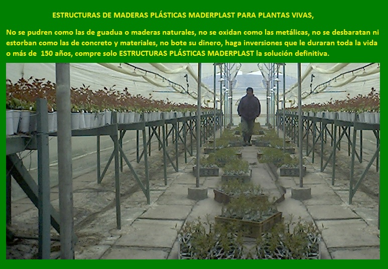 banco de enraizamiento enraizar plantas mostrador mesón lecho soporte propagar cultivar vivero plantar sembrar semillas esquejes brotes de plantas tallos socos de semillas en macetas materas 07 banco de enraizamiento enraizar plantas mostrador mesón lecho soporte propagar cultivar vivero plantar sembrar semillas esquejes brotes de plantas tallos socos de semillas en macetas materas 07 01 banco de enraizamiento enraizar plantas mostrador mesón lecho soporte propagar cultivar vivero plantar sembrar semillas esquejes brotes de plantas tallos socos de semillas en macetas materas 07